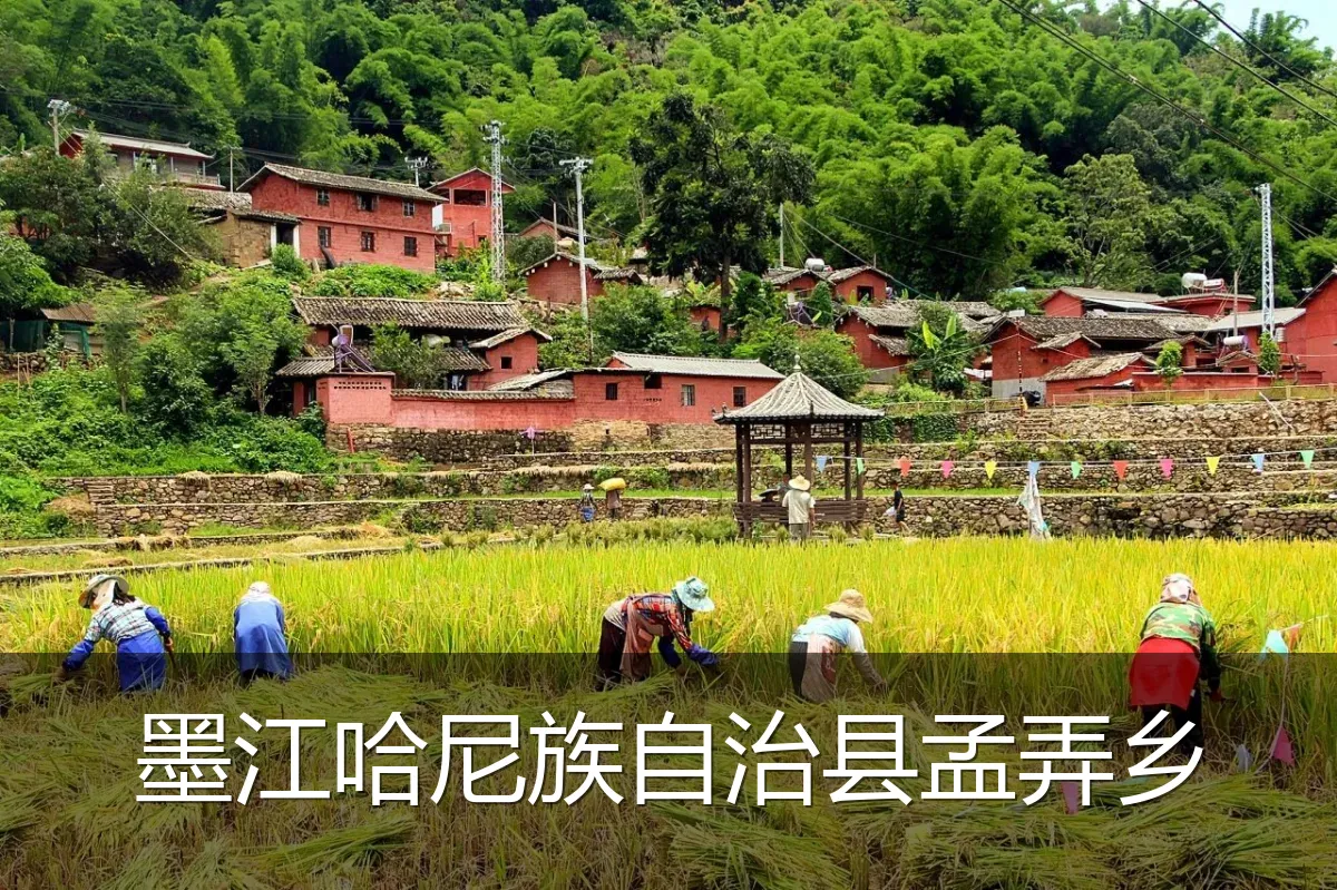 墨江哈尼族自治县孟弄乡